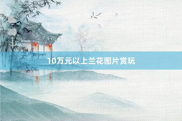 10万元以上兰花图片赏玩