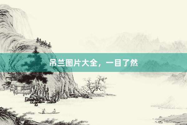 吊兰图片大全,一目了然