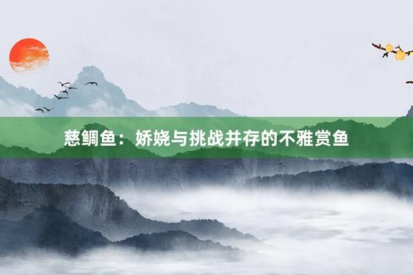 慈鲷鱼：娇娆与挑战并存的不雅赏鱼